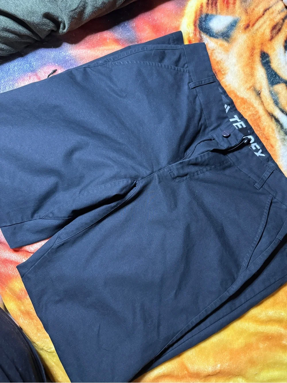 adidas Terrex Black Men's Cargo Pants